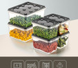 Vienev 6'lı Block Buzdolabı Ve Derin Dondurucu Sızdırmaz Saklama Kabı Şeffaf Antrasit 2x(1,5 Lt)-4x(0,7 Lt)