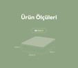 Vienev 6lı 3,5 Litre Buzdolabı Dondurucu Organizer Mikrodalga Ve Difrize Uygun Saklama Kabı Mint