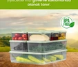Vienev 9lu Buzdolabı Dondurucu Organizer Mikrodalga Ve Difrize Uygun Saklama Kabı Mint