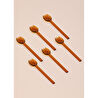The Mia Abiete Dondurma Ve Tatlı Kaşığı Amber 6lı Set