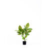 The Mia Ficus Altissima Yapay Ağaç Yeşil 2 Dallı 90 Cm