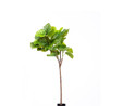 The Mia Ficus Umbellata Yapay Ağaç Yeşil 4 Dallı 150 Cm