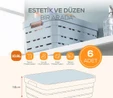 Vienev 6'lı Kapaklı 10,8 Litre Delikli Saklama Kutusu Mavi