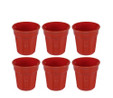 Bialetti 6 (adet) Kırmızı Espresso Fincan Set