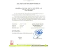 Tellioğlu Organik Özel Amaçlı Un 1 Kg