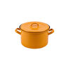 Emaylab Rainpot Tencere 22 Cm Mustard