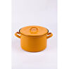 Emaylab Rainpot Tencere 22 Cm Mustard