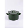 Emaylab Rainpot Tencere 22 Cm Emerald