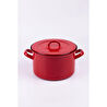 Emaylab Rainpot Tencere 22 Cm Flame