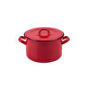 Emaylab Rainpot Tencere 22 Cm Flame