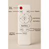 Luna Lighting Yakamoz Model Gold Kaplama 3 Renk Ledli Avize