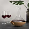 Vacu Vin Swirling Karaf - Kutulu Şeffaf