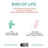 Itsy Bitsy Kids Bird Of Life Nevresim Seti, Mint Yeşili, 140x200cm