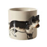 Mudo Home Dog Fi̇ncan 100 Ml