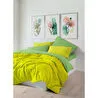 Cozy Home Popping Colors Çift Kişilik Lastikli Çarşaflı Nevresim Takımı Sage Sarı-yeşil