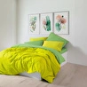 Cozy Home Popping Colors Çift Kişilik Lastikli Çarşaflı Nevresim Takımı Sage Sarı-Yeşil