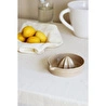 Beige & Stone Seramik Narenciye Limon Sıkacağı