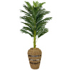 Biçiçek Luxury Areka Palmiyesi 160cm Hasır Saksıda Bohem3