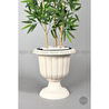 Biçiçek Yapay Bambu Ağacı 170cm Yoğun Yapraklı Kırık Beyaz Renk Nergis Saksıda