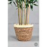 Biçiçek Yapay Bambu Ağacı 170cm Krem Şeritli Hasır Saksıda