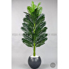 Biçiçek Yapay Areka Ağacı 160-180 Cm Griküre170cm