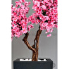 Biçiçek Bonzai Gövdeli Pembe Sakura Ağacı 100cm Dış Mekana Uygun