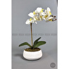 Biçiçek Yapay Çiçek Dekoratif Beton Saksıda Büyük Boy Beyaz Islak Orkide