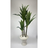 Biçiçek Yucca Bitkisi 220 Cm Yapay Ağaç Beyaz