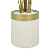 Biçiçek Monstera Ağacı 160cm Krem Gold Metal Saksıda