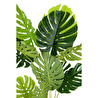 Biçiçek Monstera Ağacı 160cm Krem Gold Metal Saksıda