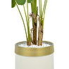 Biçiçek Monstera Ağacı 160cm Krem Gold Metal Saksıda