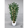 Biçiçek Zen Bambu Ağacı 220-240 Cm Fiber Saksıda Beyazfiber2