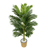 Biçiçek Areka Palmiyesi 140cm Hasır Saksıda Fejka