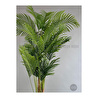 Biçiçek Yapay Areka Ağacı Büyük Boy Palmiye Ağacı 4 Bambu Gövdeli 220cm Kırıkbeyaz Renk Yalı Saksıda