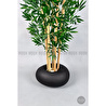 Biçiçek Zen Bambu Ağacı 220-240 Cm Fiber Saksıda Siyahfiber1