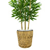 Biçiçek Yapay Bambu Ağacı 140cm Hasır Saksıda Yeşil