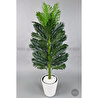 Biçiçek Yapay Areka Ağacı 160-180 Cm Beyazluna180cm