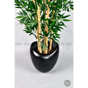 Biçiçek Zen Bambu Ağacı 220-240 Cm Fiber Saksıda Siyahfiber2