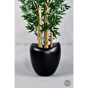 Biçiçek Zen Bambu Ağacı 220-240 Cm Fiber Saksıda Siyahfiber2