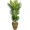 Biçiçek Luxury Areka Palmiyesi 180cm Hasır Saksıda Bohem3