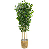 Biçiçek Yapay Benjamin Ağacı 170 Cm Hasır Saksıda