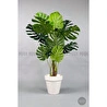 Biçiçek Yapay Ağaç Monstera Bambu Gövdeli 150cm Devetabanı Ağacı Büyük Boy Kırıkbeyaz Renk Yalı Saksıda