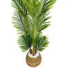 Biçiçek Areka Palmiyesi 130cm Geoit Hasır Saksıda