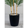 Biçiçek 115cm Areka Ağacı 24 Yapraklı Yakut Saksıda 2