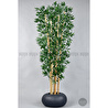 Biçiçek Zen Bambu Ağacı 220-240 Cm Fiber Saksıda Grifiber1