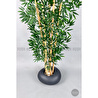 Biçiçek Zen Bambu Ağacı 220-240 Cm Fiber Saksıda Grifiber1