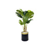 Biçiçek Monstera Ağacı 160cm Siyah Gold Metal Saksıda