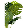 Biçiçek Monstera Ağacı 160cm Siyah Gold Metal Saksıda