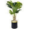 Biçiçek Monstera Ağacı 160cm Siyah Gold Metal Saksıda