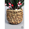 Biçiçek Koki̇na Bi̇tki̇si̇ 35 Cm Hasir Saksida 48 Meyveli̇ Yilbaşi Bi̇tki̇si̇